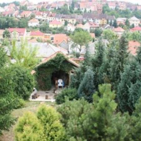 Borbarat Vendeghaz Villa Eger Exterior photo